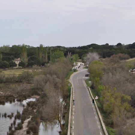 Vacances En Camargue Proche De La Mer Climatise Aigues-Mortes Extérieur photo