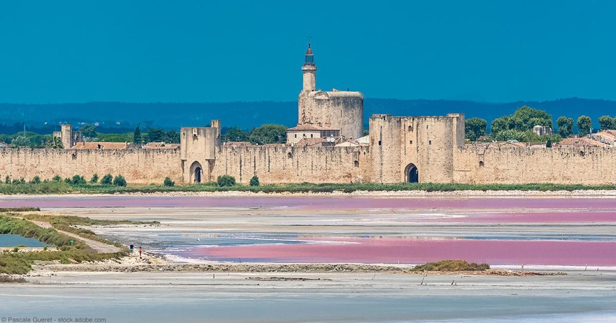 Vacances En Camargue Proche De La Mer Climatise Aigues-Mortes Extérieur photo