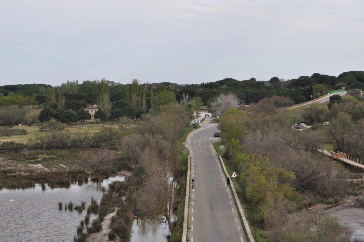 Vacances En Camargue Proche De La Mer Climatise Aigues-Mortes Extérieur photo