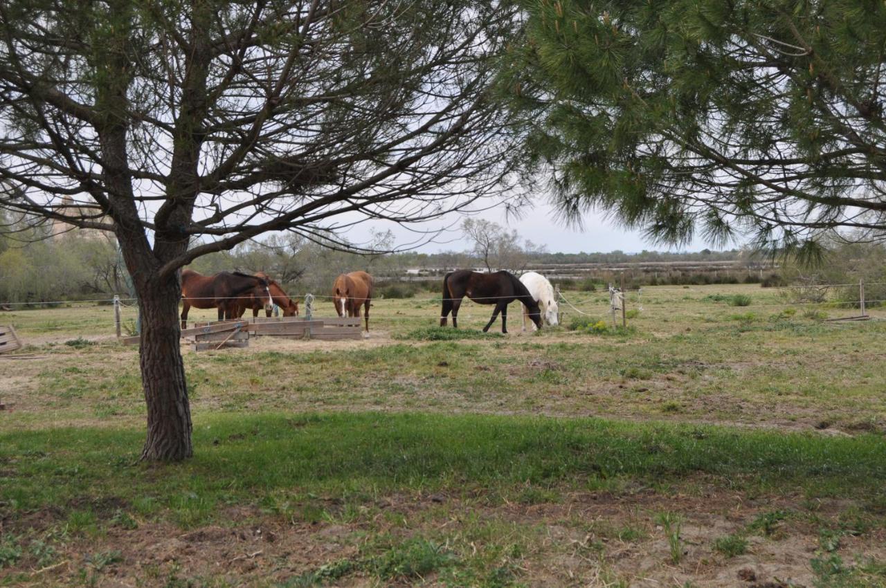 Vacances En Camargue Proche De La Mer Climatise Aigues-Mortes Extérieur photo